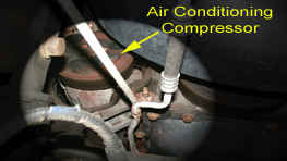 A/C Clutch & Compressor