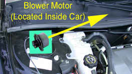 Blower Motor