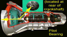 Pilot Bearing