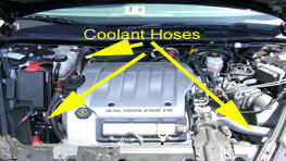 Coolant Hoses