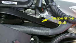 Drive Belts
