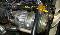 Fan Belt